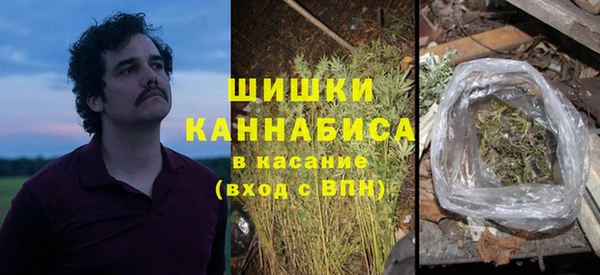 тгк Белокуриха