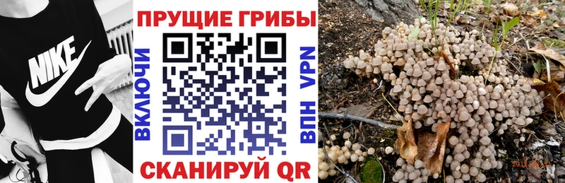 дарк нет формула  Духовщина  Псилоцибиновые грибы мухоморы 